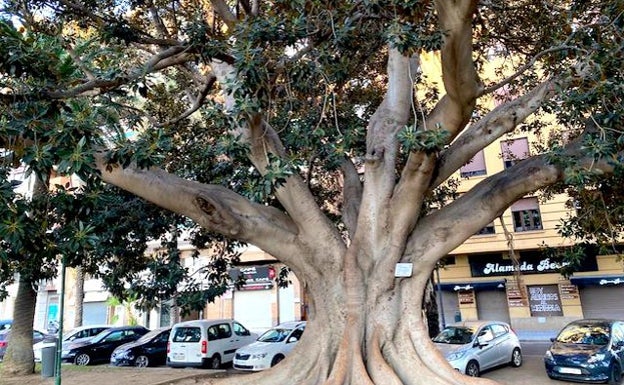 ¿Qué hacer este domingo 19 de septiembre en Valencia?