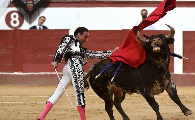 La Universitat de València abre las puertas a la cirugía taurina