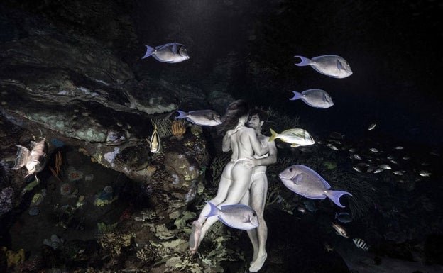 El Oceanogràfic, un acuario repleto de arte