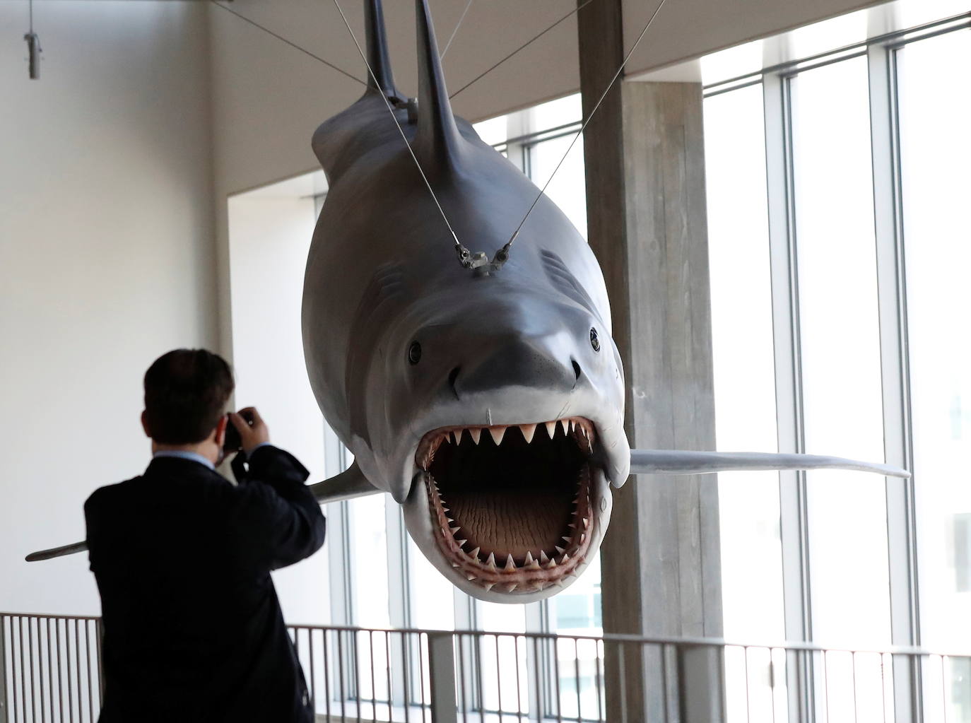 Todos los míticos objetos que hay en el nuevo Museo del Cine de Hollywood