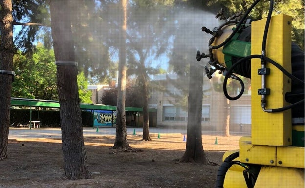 Massamagrell fumiga contra el mosquito tigre