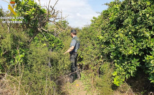 Localizan a un niño de 2 años perdido en una urbanización de Godelleta