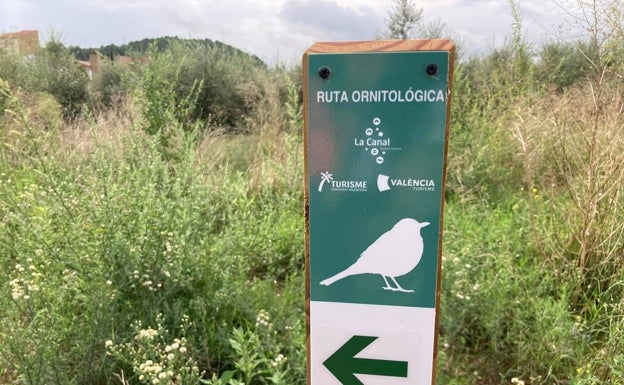 La ruta ornitológica llega este sábado a Bicorp