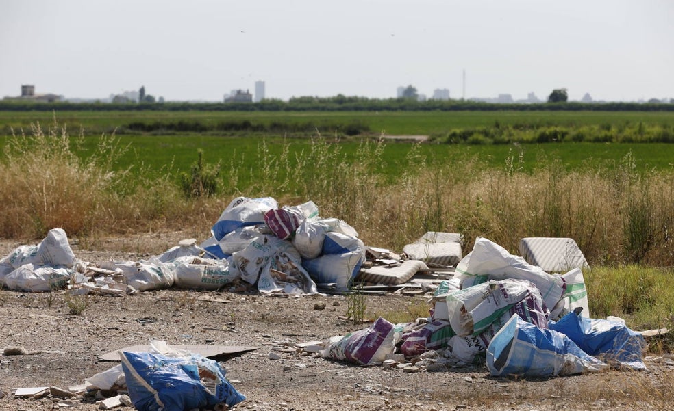 Del dicho al hecho en la Albufera