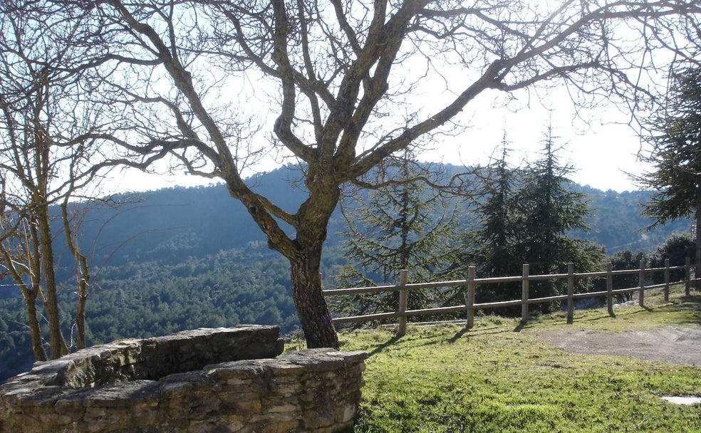 El bosque encantado del Mas del Boix