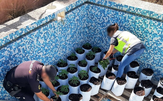 La Policía Nacional localiza una plantación de marihuana con un dron en la Vall de Laguar