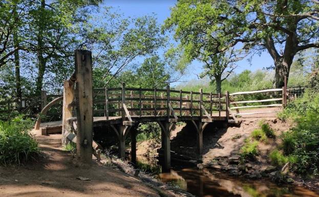 Subastan el puente de Winnie The Pooh, que existe en la vida real