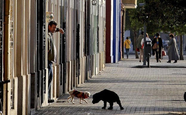 Cs critica el bloqueo de los planes que sirven para el desarrollo de barrios de Valencia