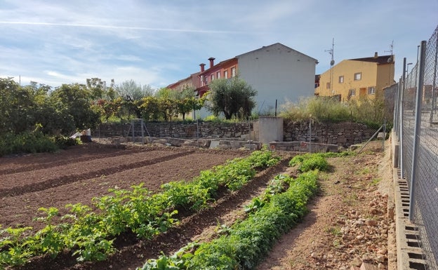 Los agricultores del Comtat denuncia robos en sus huertas