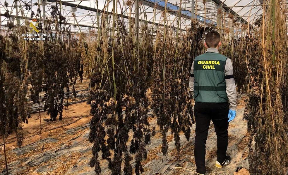 Hachís contaminado con caucho y plástico en la Comunitat