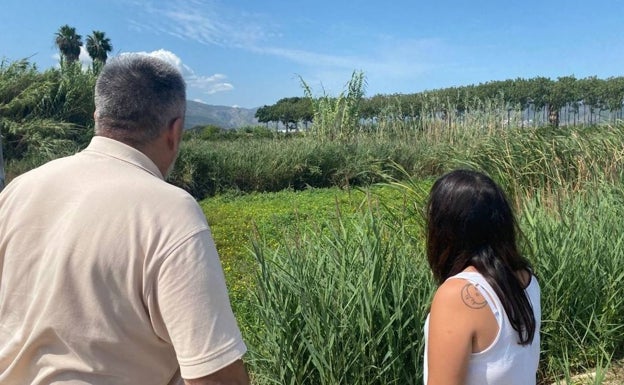 La CHJ deja en manos del Consell las plantas invasoras del río Racons