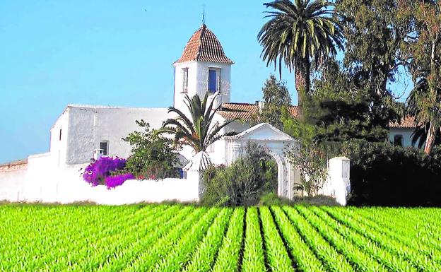 Una visita de sabor al corazón de la huerta valenciana