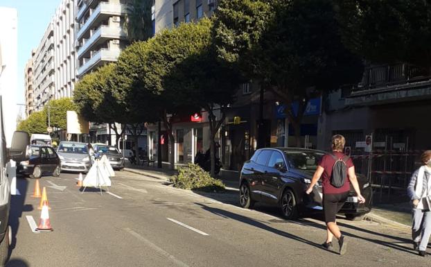 El Ayuntamiento corta dos carriles en la avenida del Puerto para podar y provoca un monumental atasco en plena hora punta