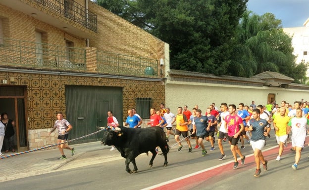 El bou en corda regresa a Turís