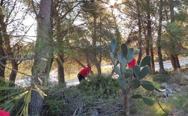 Benitatxell contrata a siete parados durante medio año para limpiar los caminos y zonas verdes