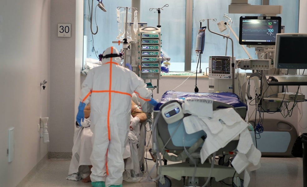 La Comunitat suma 562 nuevos contagios y 4 muertos más por coronavirus