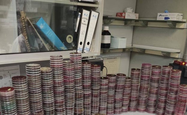 El hospital Peset ignora la propuesta del personal de Microbiología de asignar un coordinador técnico para mejorar el servicio