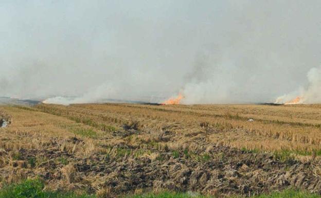 El humo de la quema de la paja del arroz inunda toda Valencia y l'Horta