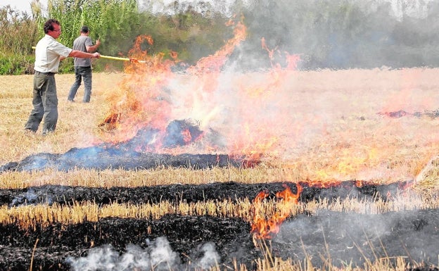 Los arroceros culpan a Agricultura del humo provocado por la quema de la paja