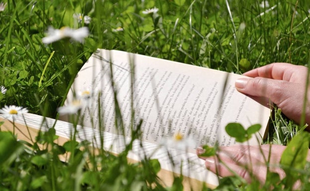 Mesa redonda sobre poesía en LAS PROVINCIAS