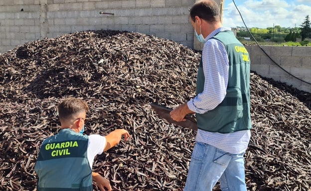 La Guardia Civil de Llíria detiene a dos hombres por sustraer 19 toneladas de algarrobas