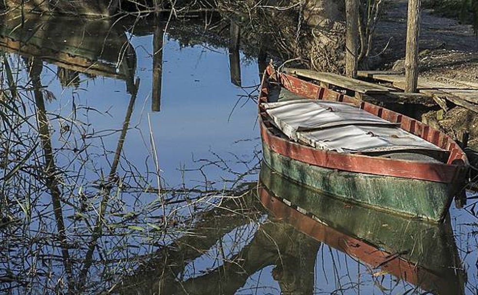 El Portet de Sollana: una ruta por el secreto mejor guardado de L'Albufera