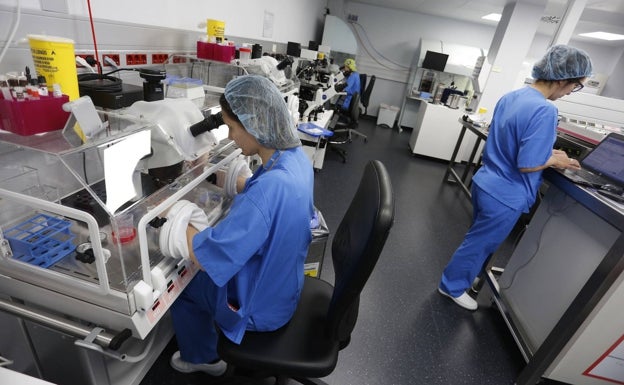 Mujeres con riesgo de sufrir cáncer de ovario o mama podrán acceder a técnicas de reproducción asistida en la Comunitat Valenciana