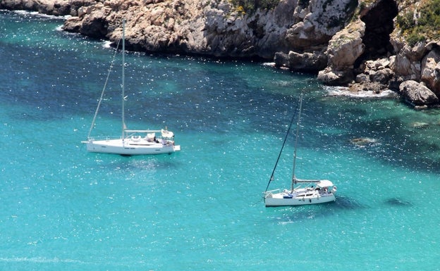 El Consell pondrá vigilancia para proteger la posidonia de Xàbia