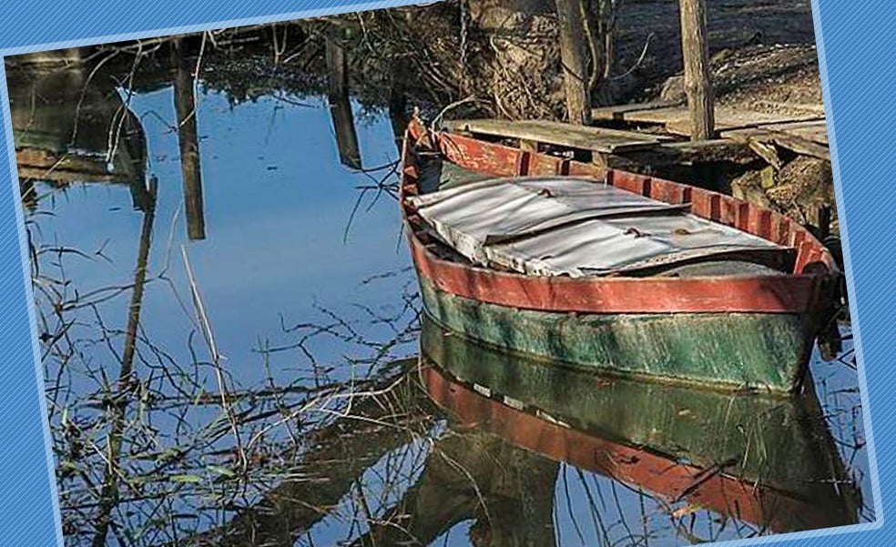 El Portet de Sollana: una ruta por el secreto mejor guardado de L'Albufera