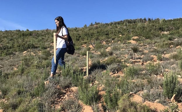 En busca de fondos para reforestar hectáreas arrasadas por incendios en Gátova