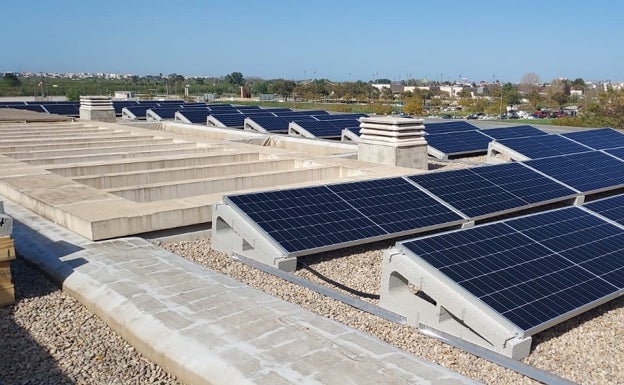 El alcalde de Alzira reclama más poder de decisión de los municipios sobre la implantación de plantas solares