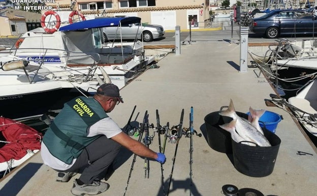 Denunciado por pescar 225 pescados, mariscos y crustáceos ilegalmente en el puerto de Torrevieja