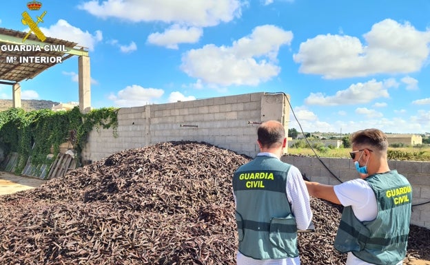 La Guardia Civil detiene a seis personas en la Ribera Alta por la venta ilícita de 51.000 kilos de algarrobas