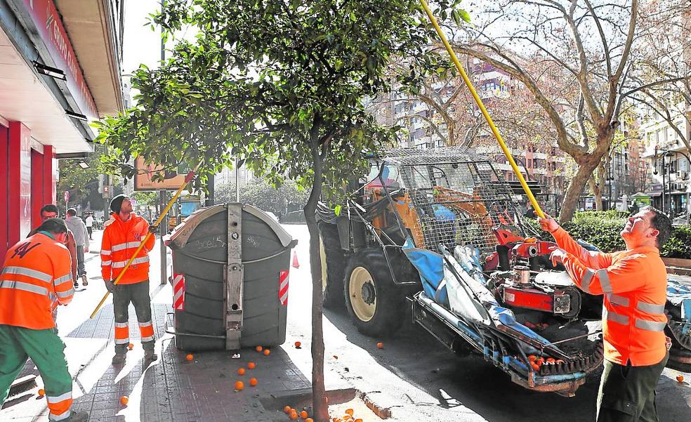 Un recurso frena el concurso estrella destinado a mejorar jardines y arbolado