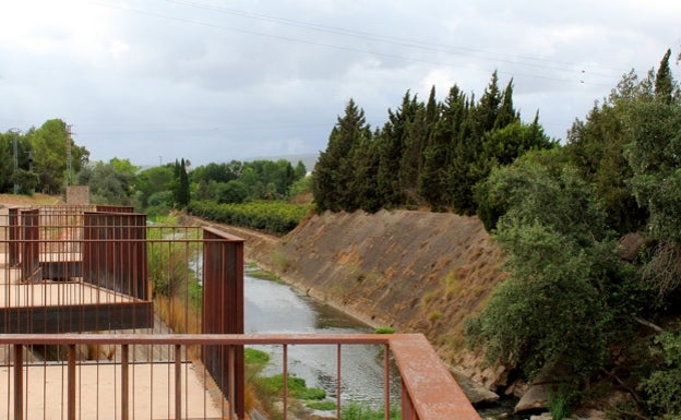 Alzira plantará 2.000 árboles en la Muntanyeta y el mirador del Júcar
