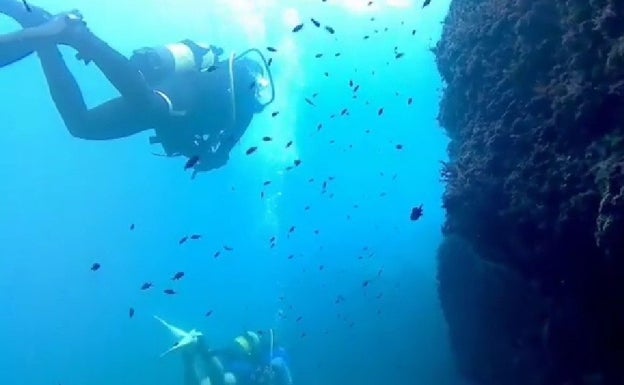 Sesenta buzos apoyados por voluntarios y pescadores limpiarán los fondos marinos de Calp
