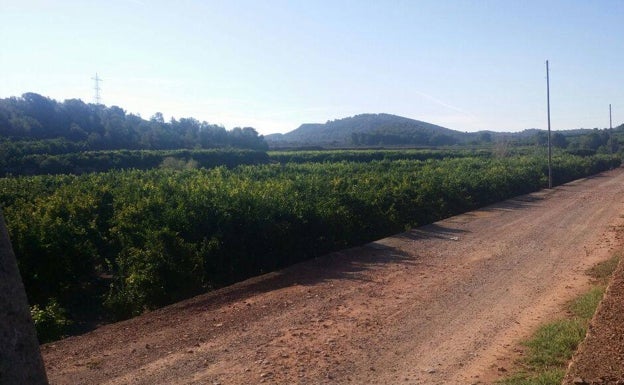 El nuevo Plan del Turia blinda el paraje de Porxinos ante cualquier proyecto urbanístico