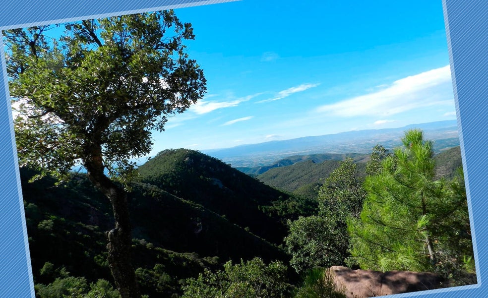 Al ascenso del Pico de Tristán: uno de los enclaves más valiosos de la Sierra Calderona