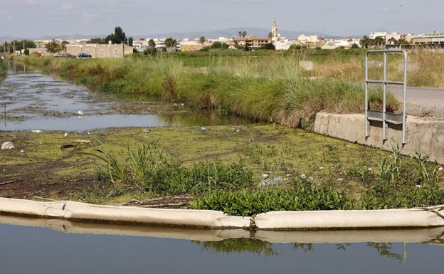 PSOE y Compromís votan en el Senado en contra de invertir más en la Albufera