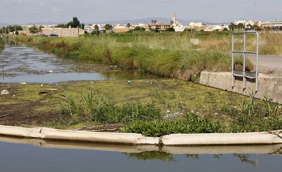 PSOE y Compromís votan en el Senado en contra de invertir más en la Albufera