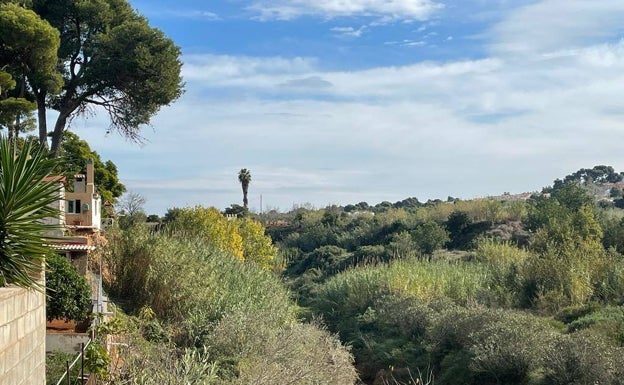 Vecinos del Pantano de Torrent reclaman la limpieza del barranco y poner fin a las inundaciones