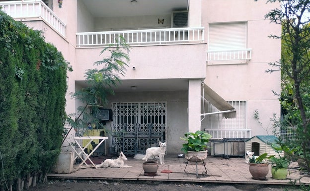 Un criadero ilegal de perros ocupa la planta baja de una finca en la zona turística de l'Albir