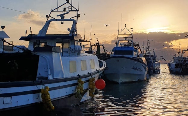 La Vila Joiosa busca en la pesca un nuevo atractivo turístico