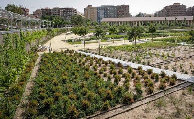 El Ayuntamiento de Valencia instalará 12 cámaras en el Parque Central