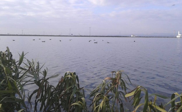 Los cazadores del vedat de Silla se quedan sin patos esta temporada