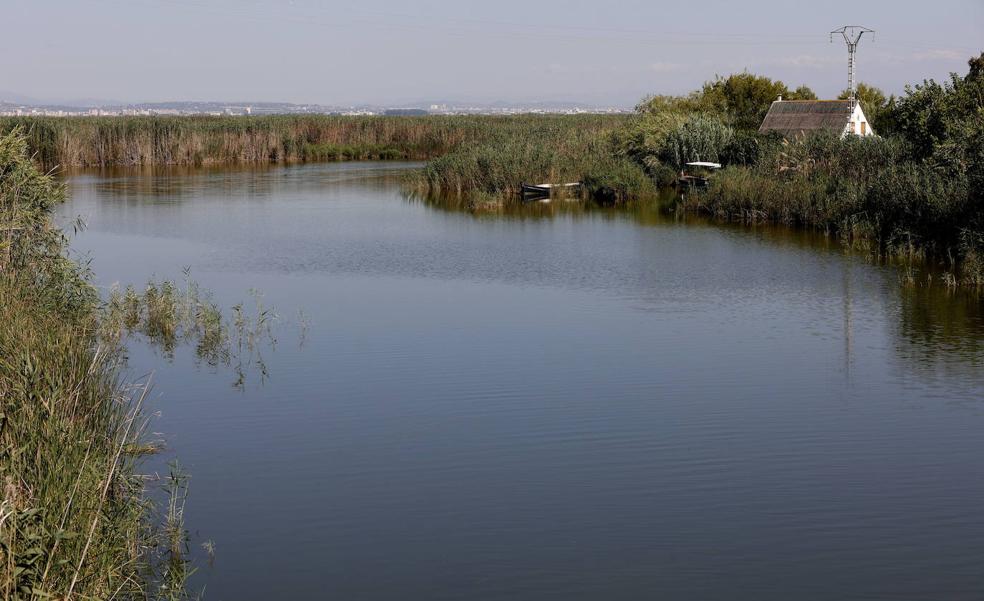 Las lluvias permiten que la Albufera reciba 228 hectómetros el último año