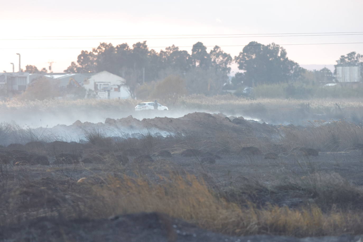 Un incendio en El Puig calcina 25 hectáreas de campos abandonados y marjal