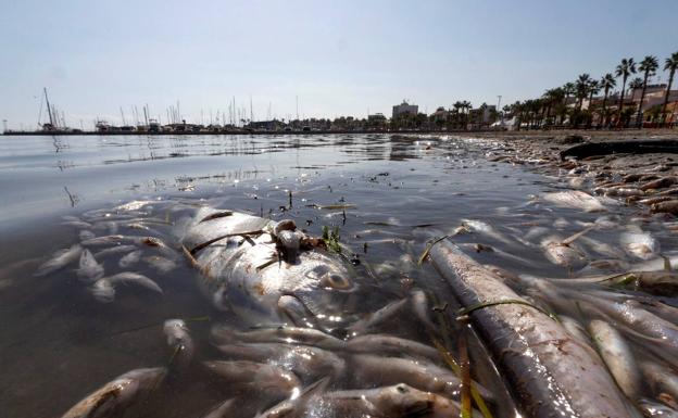 La onda expansiva del Mar Menor