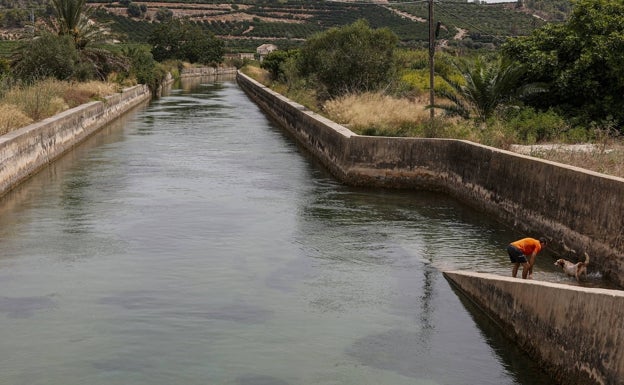 La Acequia Real destinará 14,5 hectómetros a la Albufera