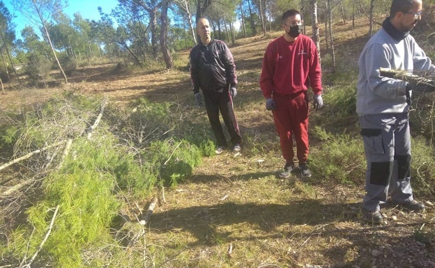 Limpian La Vallesa para regenerar el paisaje y evitar incendios